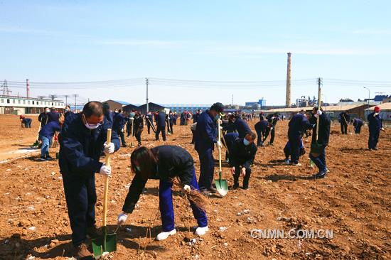 √葫蘆島有色植樹(shù)稿件外宣版A81Y1578_看圖王_副本